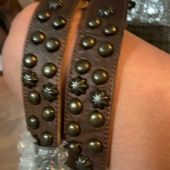 Falcon - Picture 6 of 11